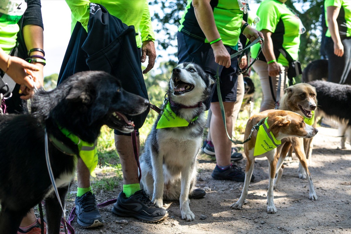 Actividades The Wild Actividades e talleres no festival The Wild - Evento sustentable en Vigo