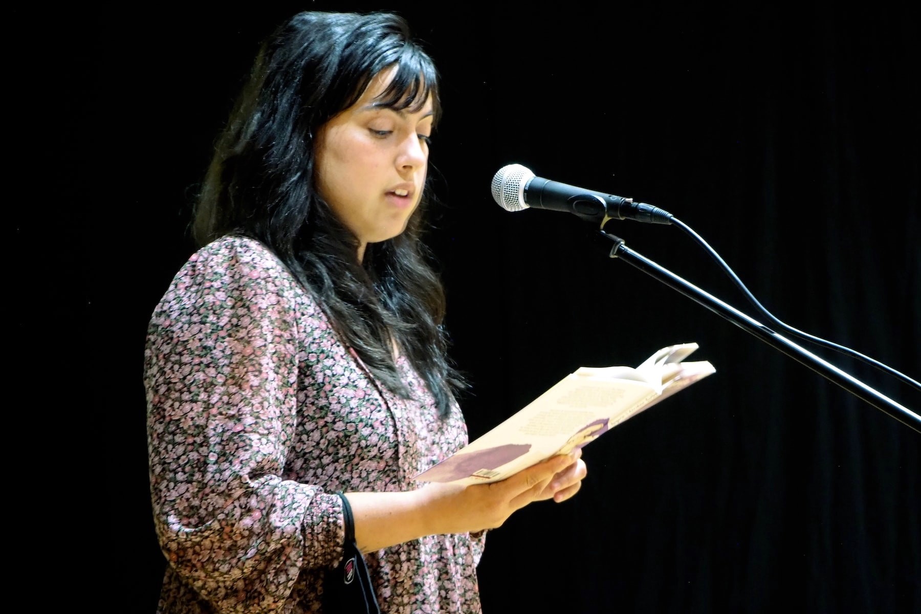 Sementeira no Camiño Sementeira no Camiño